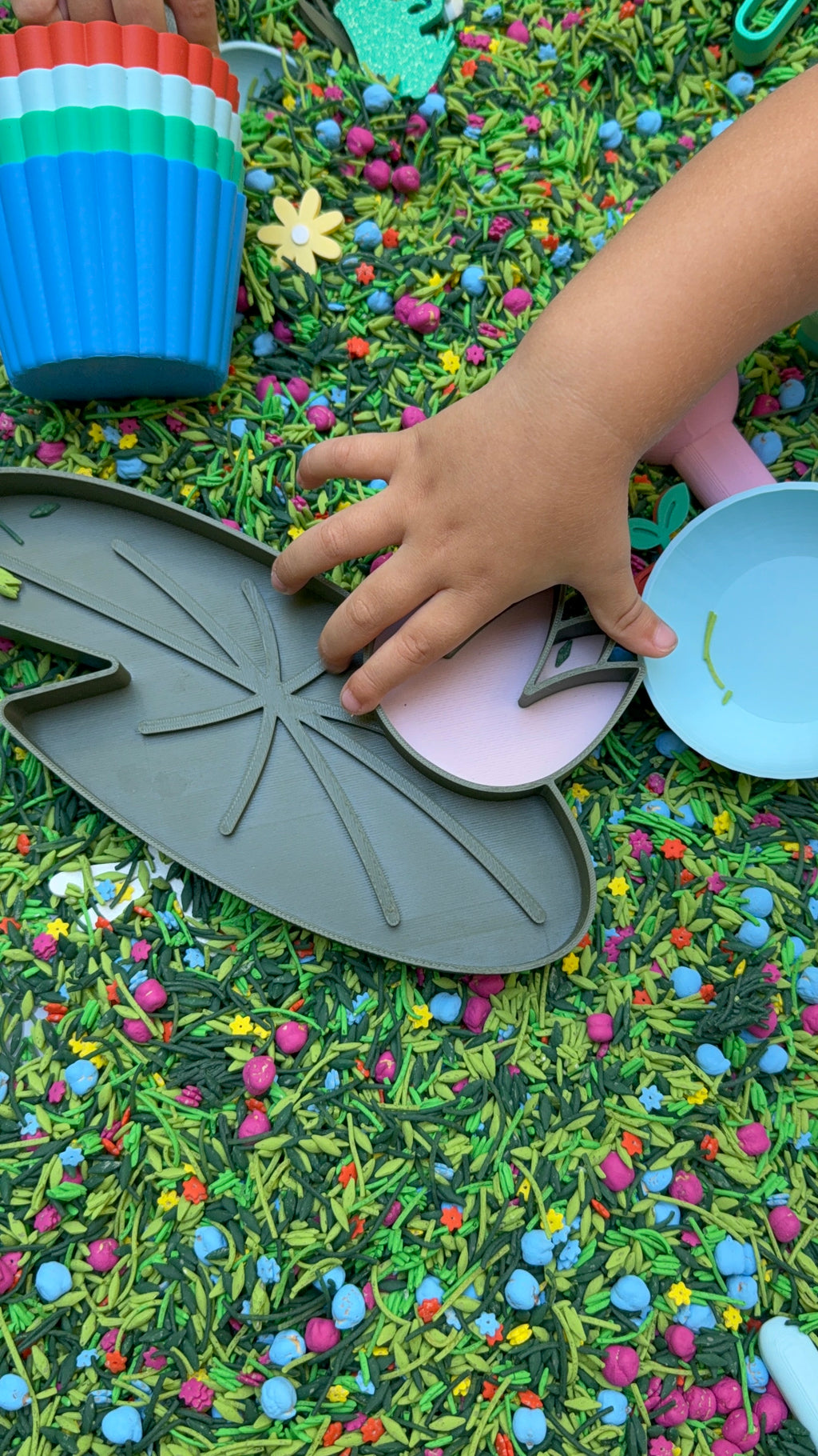 Spring Collection — Puddles & Petals